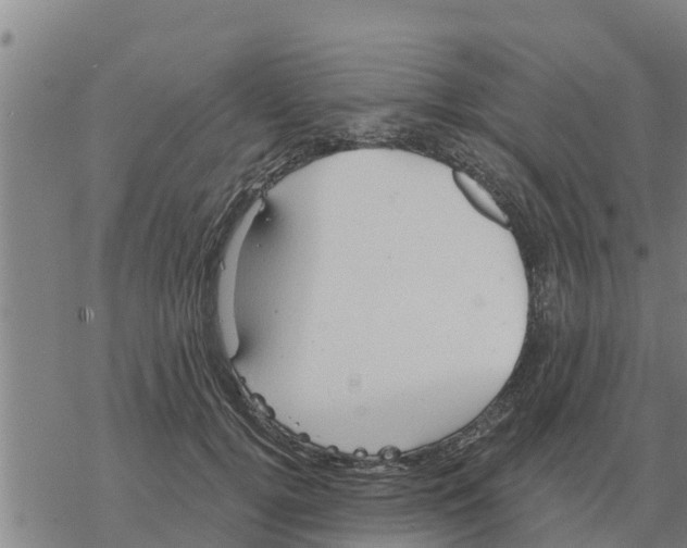 X0000068740752200605262050