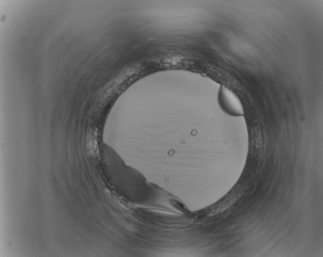 X0000068740754200605262050