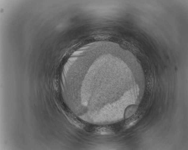 X0000068740755200605262050