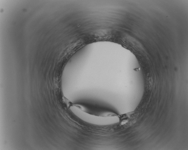 X0000068740756200605262050