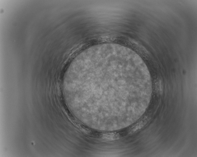 X0000068740757200605262050