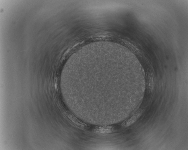 X0000068740758200605262050