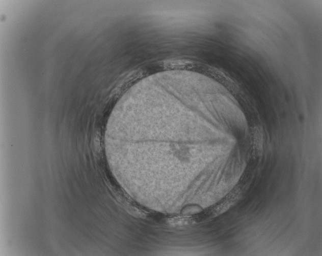 X0000068740761200605262050