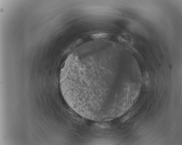 X0000068740763200605262050