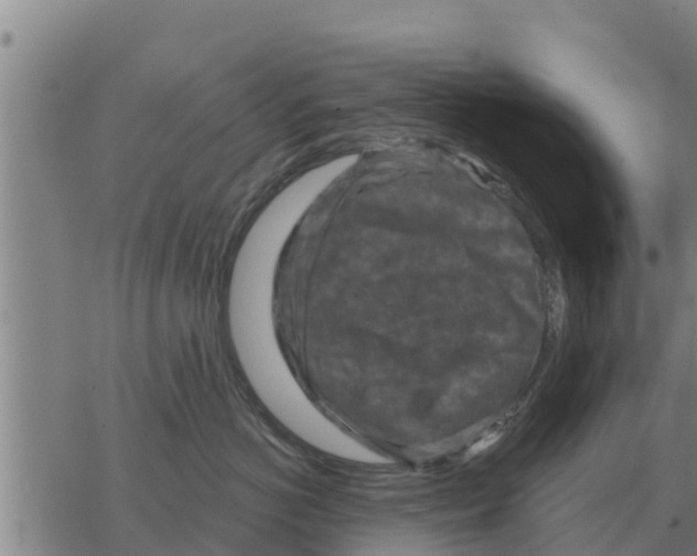 X0000068740766200605262051