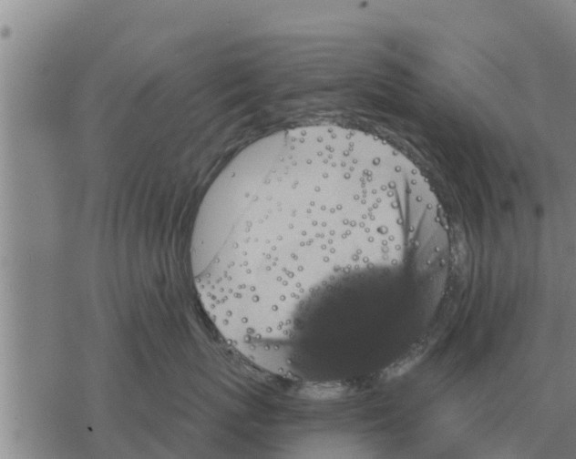 X0000068740767200605262051