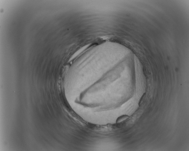 X0000068740768200605262051