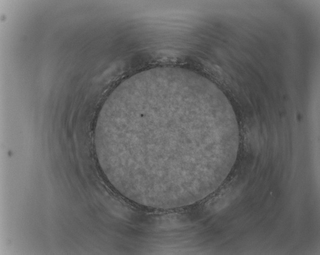 X0000068740769200605262050