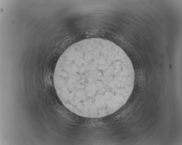 X0000068740770200605262050