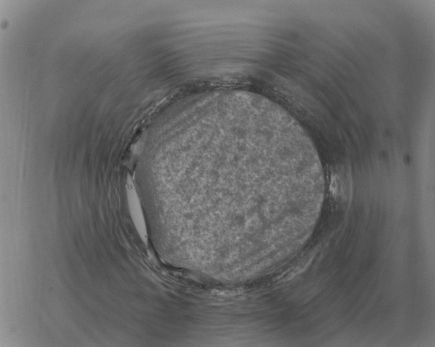 X0000068740771200605262050