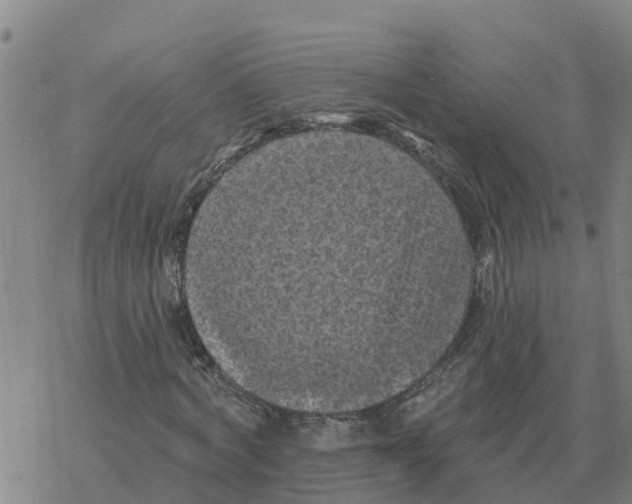 X0000068740772200605262050