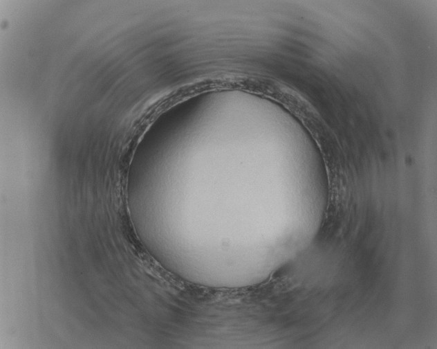 X0000068740773200605262050