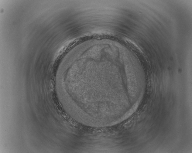 X0000068740776200605262050