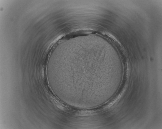 X0000068740777200605262050