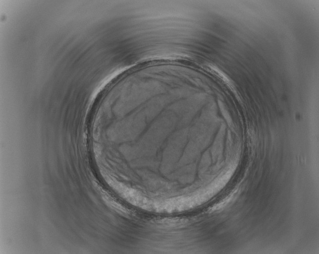 X0000068740779200605262050