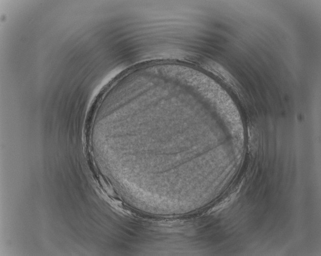 X0000068740780200605262050