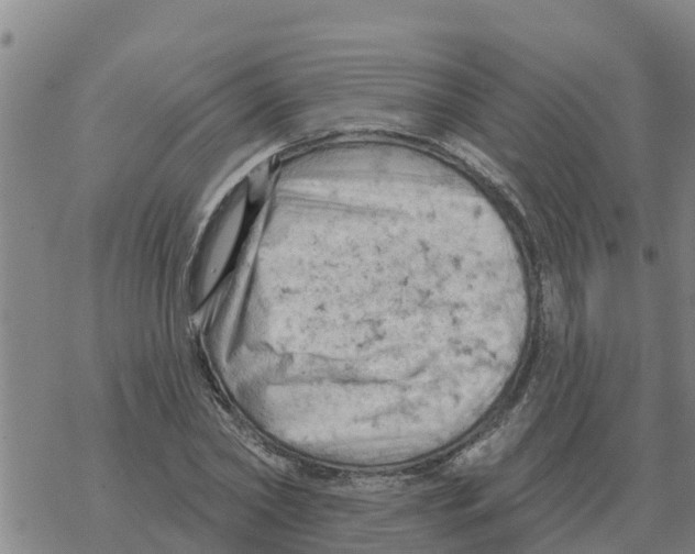 X0000068740782200605262050