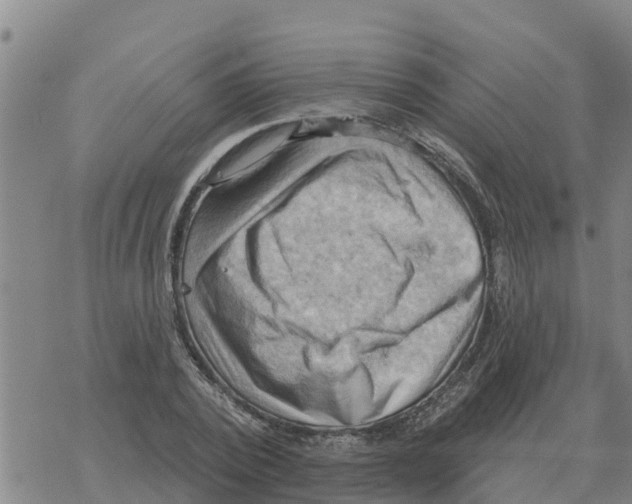 X0000068740784200605262050