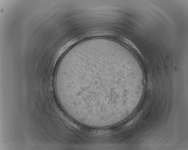 X0000068740786200605262049