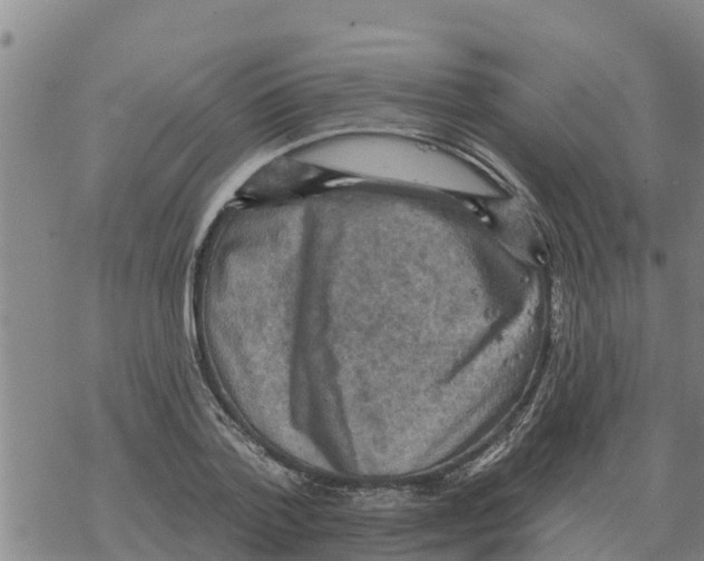 X0000068740788200605262049