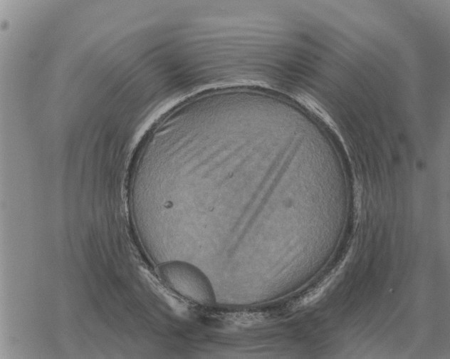 X0000068740789200605262049