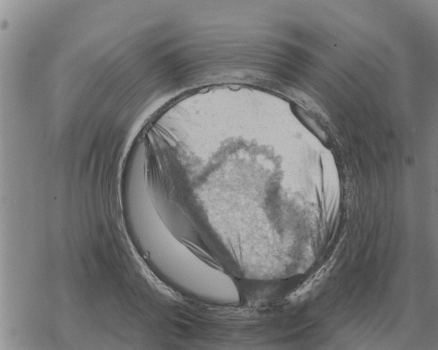 X0000068740792200605262049