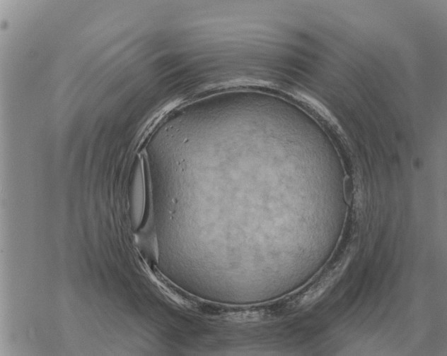 X0000068740793200605262049