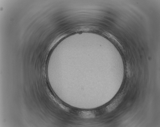 X0000068740794200605262049