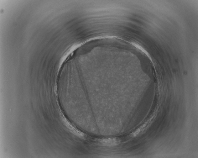 X0000068740797200605262049