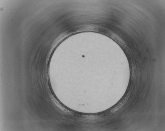 X0000068740800200605262049