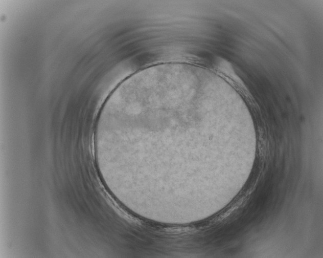 X0000068740804200605262049