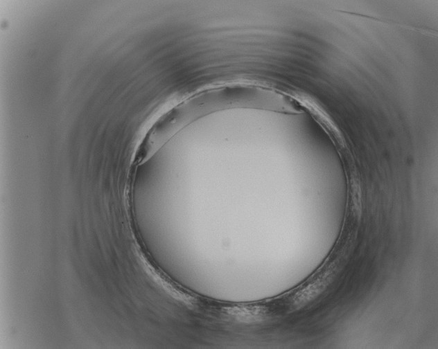 X0000068740805200605262049