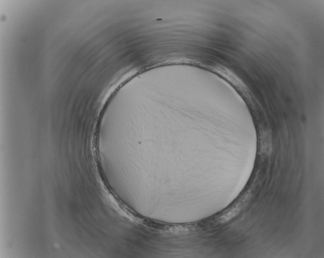 X0000068740806200605262049