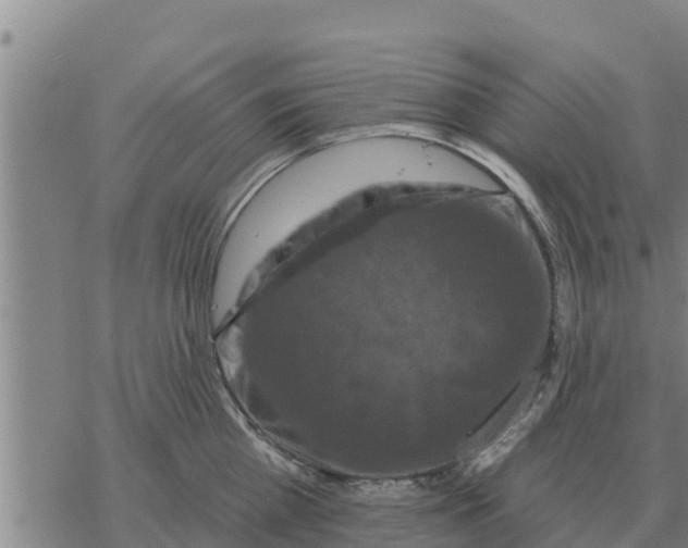 X0000068740809200605262049