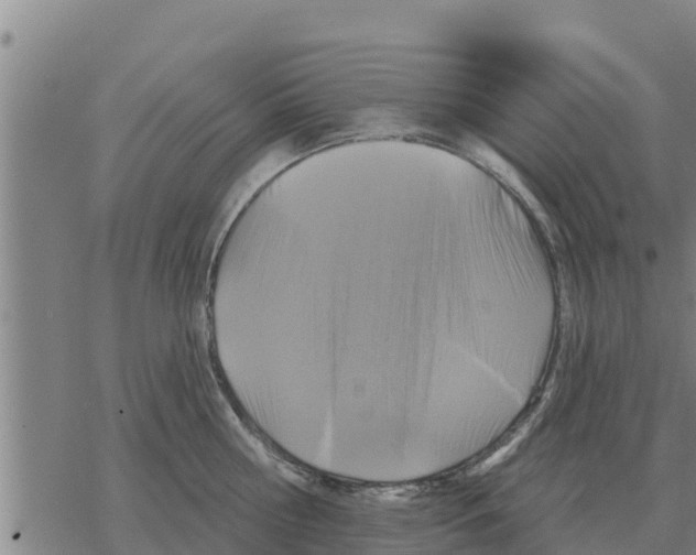 X0000068740810200605262049