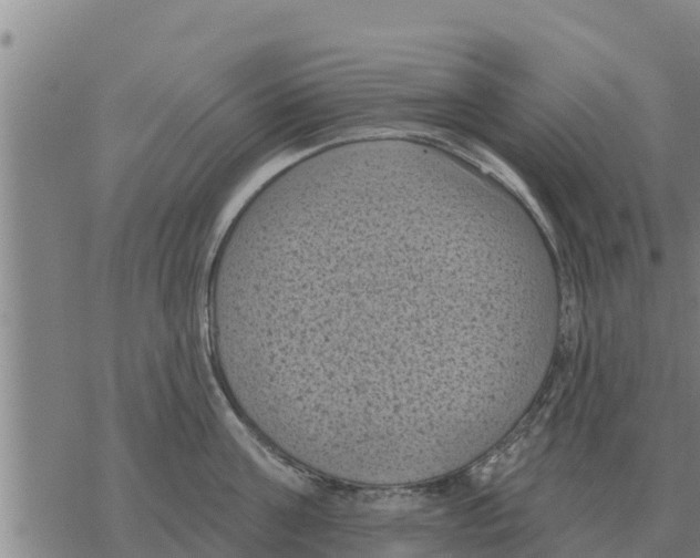 X0000068740811200605262049