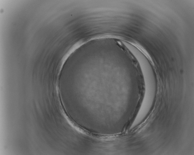 X0000068740813200605262049