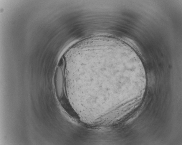 X0000068740814200605262049