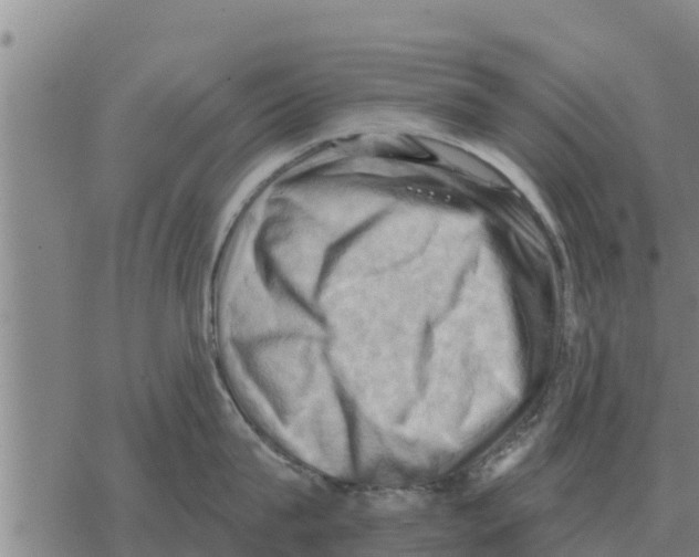 X0000068740815200605262049