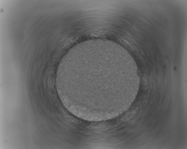 X0000068740817200605262048