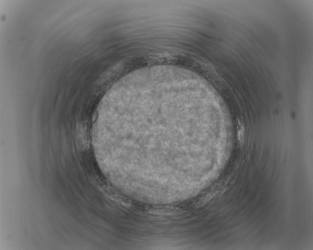 X0000068740819200605262048