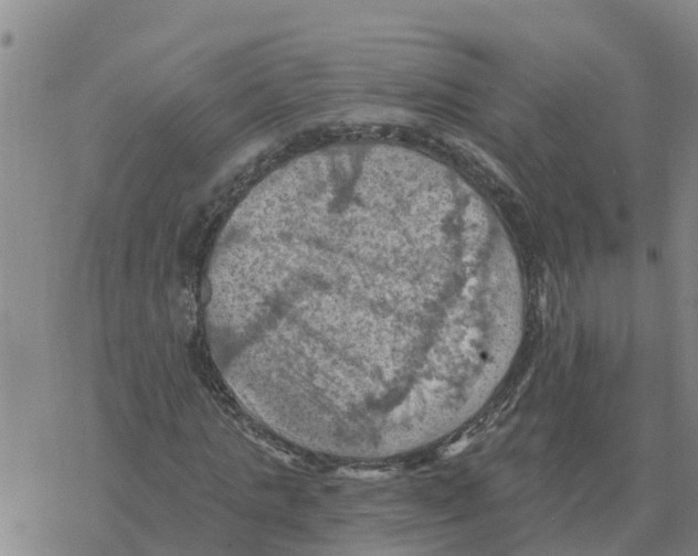 X0000068740821200605262048