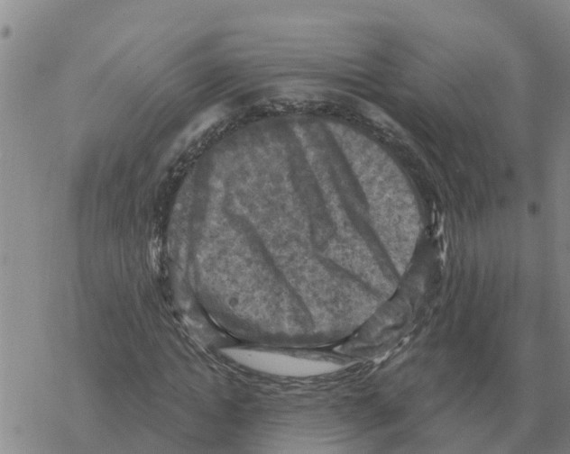 X0000068740822200605262048