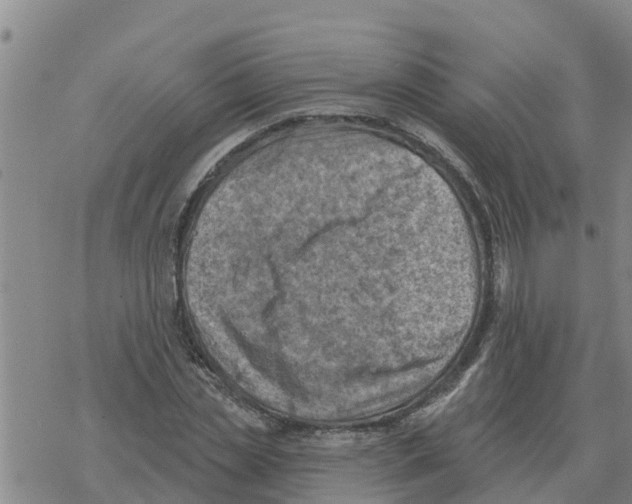 X0000068740829200605262048