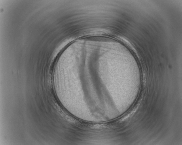 X0000068740835200605262048