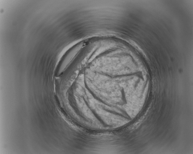 X0000068740838200605262048