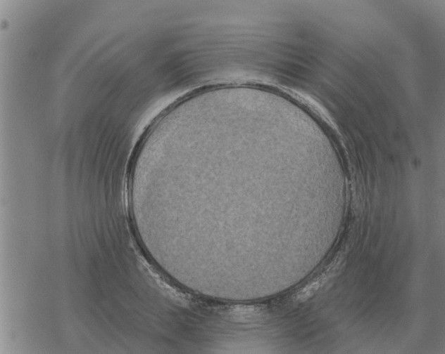 X0000068740839200605262048