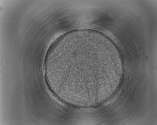 X0000068740840200605262049