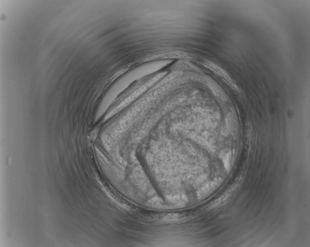 X0000068740841200605262049