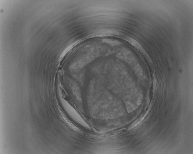 X0000068740842200605262049